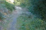 Mosson-Garrigue-St-Jean-De-Vedas
