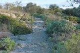 Mosson-Garrigue-St-Jean-De-Vedas