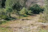 Mosson-Garrigue-St-Jean-De-Vedas