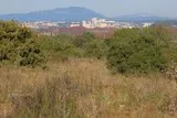 Mosson-Garrigue-St-Jean-De-Vedas