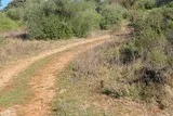 Mosson-Garrigue-St-Jean-De-Vedas