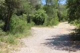 Bois de Lèque Saint-Jean-de-Cuculles