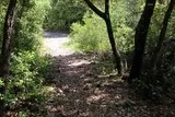 Bois de Lèque Saint-Jean-de-Cuculles