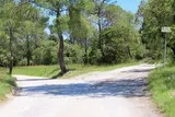 Bois de Lèque Saint-Jean-de-Cuculles