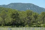 Pic-Saint-Loup