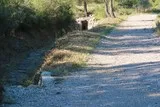 Castries Cadenet Aqueduc