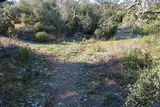 Bois du Truc de Rou Castries