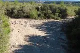 Le Grand Devès à Saint-Drézéry