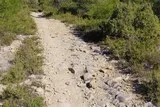 Le Grand Devès à Saint-Drézéry