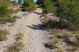 Le Grand Devès à Saint-Drézéry