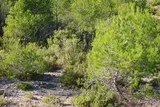 Le Grand Devès à Saint-Drézéry