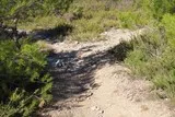 Le Grand Devès à Saint-Drézéry