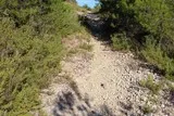 Le Grand Devès à Saint-Drézéry