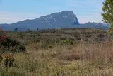 Le Pic-Saint-Loup