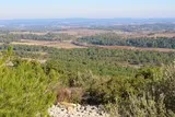 Campagne Saint-Drézéry