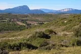 Pic-Saint-Loup et Hortus