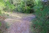 Bois de Lèque Saint-Jean-de-Cuculles