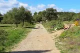 Murviel-lès-Montpellier