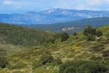 Panorama Murviel-lès-Montpellier
