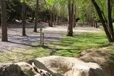 Bois Saint Antoine Vendargues