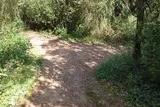 Bois Saint Antoine Vendargues