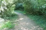 Bois Saint Antoine Vendargues