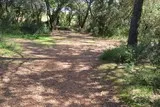 Bois Saint Antoine Vendargues