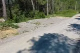 Le bois de Périé