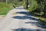 Le bois de Périé