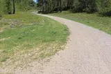 Le bois de Périé