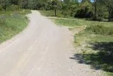 Le bois de Périé