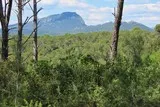 Le Pic St Loup