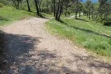 Le bois de Périé
