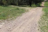 Le bois de Périé