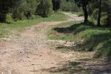Le bois de Périé