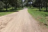 Le bois de Périé