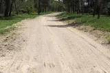 Le bois de Périé