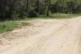 Le bois de Périé