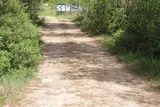 Le bois de Périé