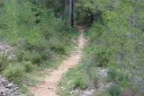 Le bois de Périé
