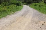 Le bois de Périé