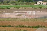Villeneuve-lès-Maguelone Salines
