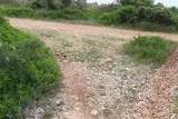 Massif des Espagnats Pignan