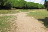Massif des Espagnats Pignan