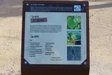 Clapiers-Montpellier-peintres-poésie