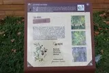Clapiers-Montpellier-peintres-poésie