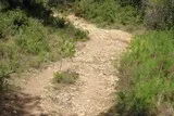 Clapiers-Montpellier-peintres-poésie