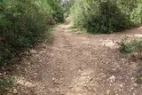 Clapiers-Montpellier-peintres-poésie