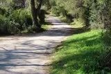 Clapiers-Montpellier-peintres-poésie