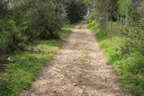 Castries Cadenet Aqueduc